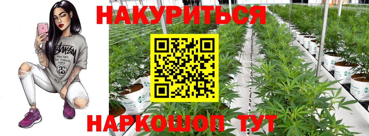 Энгельс  Конопля сатива  Шишки марихуана Amnesia  Бошки марихуана OG Kush  Вход с VPN 